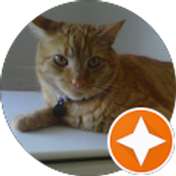 Profile photo of Brent Miller