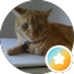 Profile photo of Brent Miller