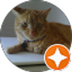 Profile photo of Brent Miller