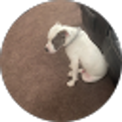 Profile photo of Boo Adrey