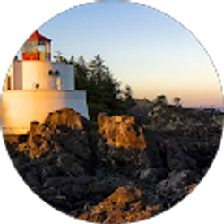 Profile photo of Dyzangi Amir