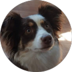 Profile photo of NJShore Mom