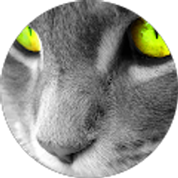 Profile photo of kamron Cleveland