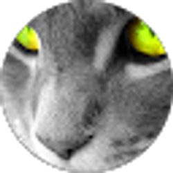 Profile photo of kamron Cleveland