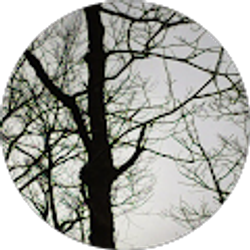 Profile photo of Lisa Robinette