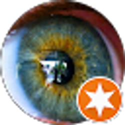 Profile photo of Dang N