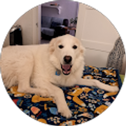 Profile photo of Cinda Gillilan