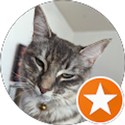 Profile photo of Reyna Rojas