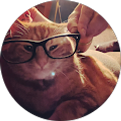 Profile photo of Kassie Galvin