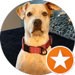 Profile photo of Martin Hodson