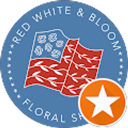 Profile photo of mercedes nelson