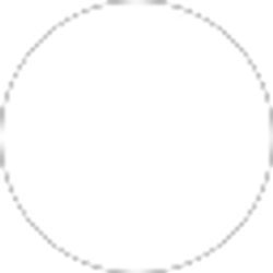 Profile photo of YELIZ YARASIK