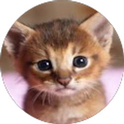 Profile photo of Cathy Sarnat