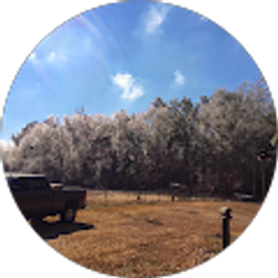 Profile photo of Elaine Coile