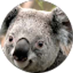 Profile photo of Emily Deters