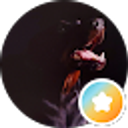 Profile photo of Drea