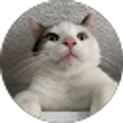 Profile photo of goec