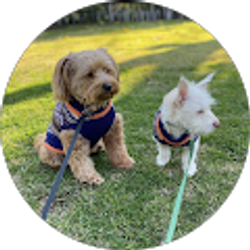 Profile photo of Lisette Hernandez