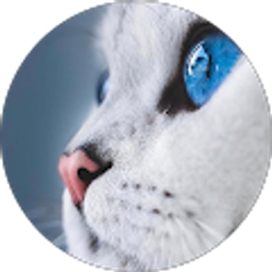 Profile photo of Jeff