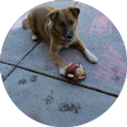 Profile photo of Jen