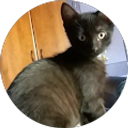 Profile photo of Mariah Smith (Skittles)