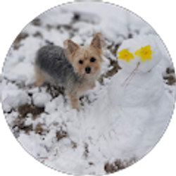 Profile photo of Angelica Hicks