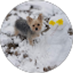 Profile photo of Angelica Hicks