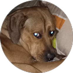 Profile photo of Lloyd Ledvina