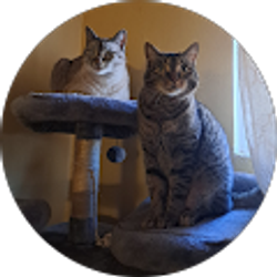 Profile photo of ya boi