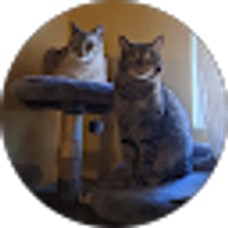 Profile photo of ya boi