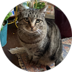 Profile photo of Jesse Goodman