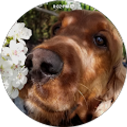 Profile photo of Kristin Hughes