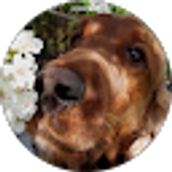 Profile photo of Kristin Hughes