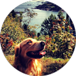 Profile photo of Matthew Sidmore