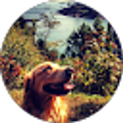 Profile photo of Matthew Sidmore