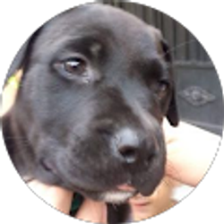 Profile photo of Jacky Iniguez