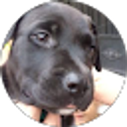 Profile photo of Jacky Iniguez