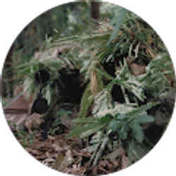 Profile photo of Jackie Gras