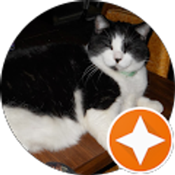 Profile photo of Mabel Macintyre