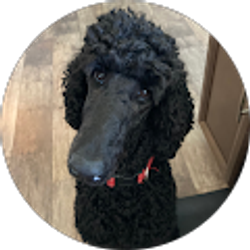 Profile photo of Benjamin Parker