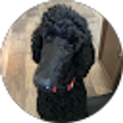 Profile photo of Benjamin Parker