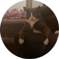 Profile photo of Bookie Reviews