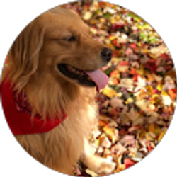 Profile photo of John Frelich