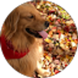 Profile photo of John Frelich