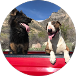 Profile photo of Justin Larson