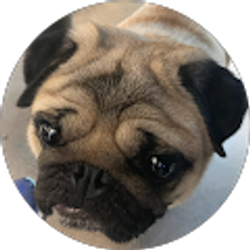 Profile photo of peter james