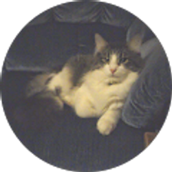 Profile photo of Collette Douglass