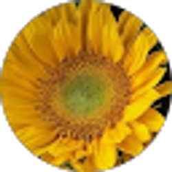 Profile photo of Liz Pristouris