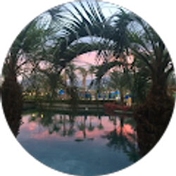 Profile photo of R Dayo