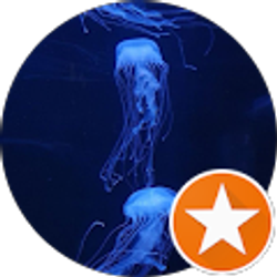 Profile photo of Sandy Coble